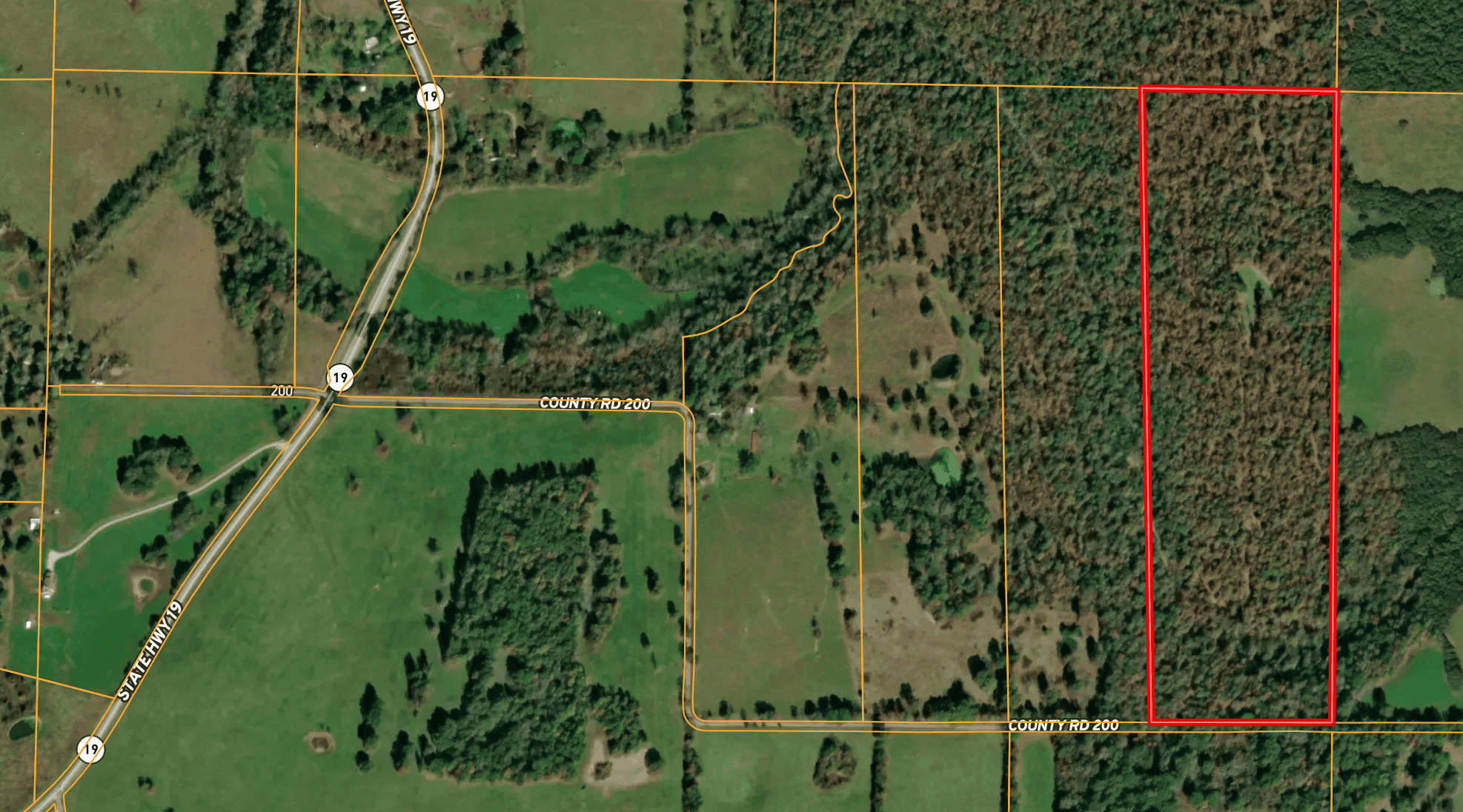 40 Acres of Hunting Land Near Mark Twain National Forest in Oregon County, Missouri